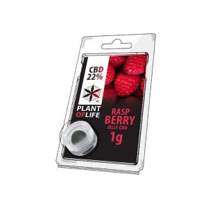 CBD 1g Jelly Raspberry 22%