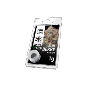 CBD 1g Jelly Blue Berry 22%