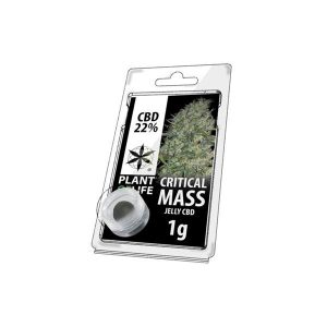 CBD 1g Jelly Critical Mass 22%
