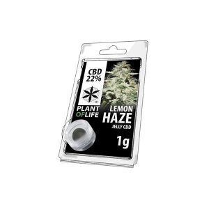 CBD 1g Jelly Lemon Haze 22%
